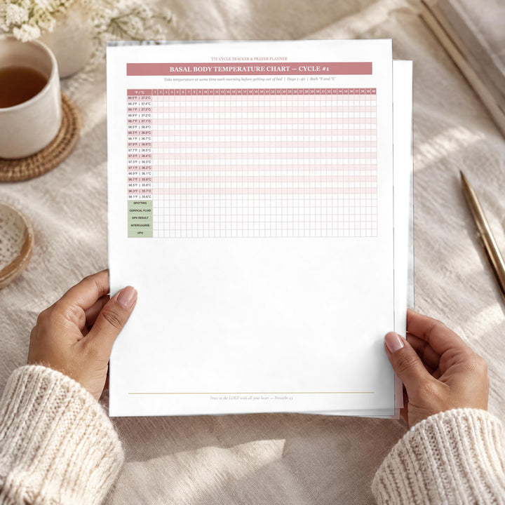 Ovulation Test Strip Log, printed pages in hand